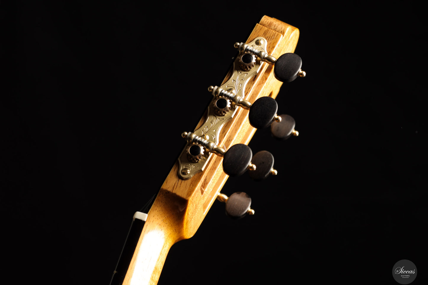 Fabio Zontini - 2025 Torres - 2025 REG Special Edition 63 cm