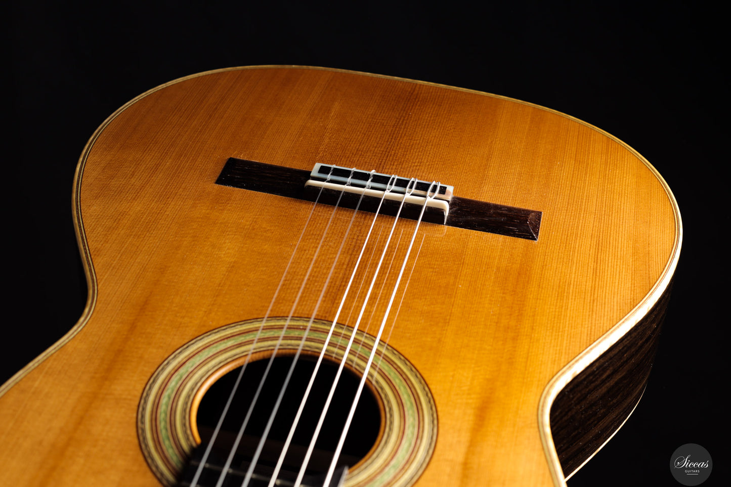 Fabio Zontini - 2025 Torres - 2025 REG Special Edition 63 cm