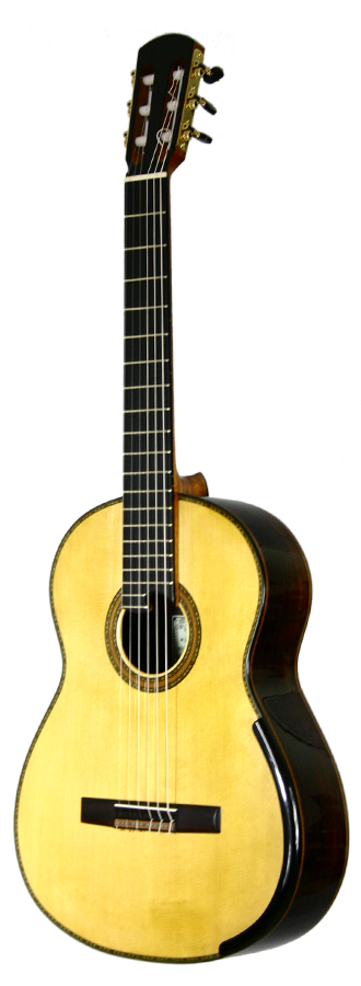 Roy Fankhänel - 2011 img-2