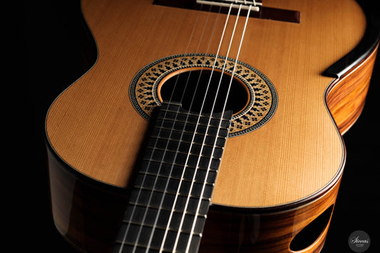 Fernando Mazza - 2025 Lattice REG 2025 Limited Edition img-2