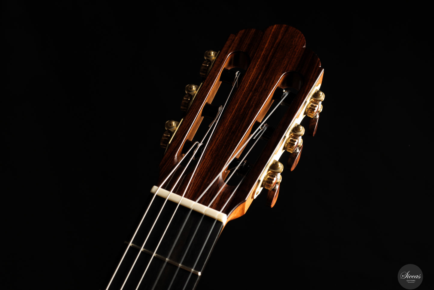 Giancarlo Nannoni - 2025 - Contemporary