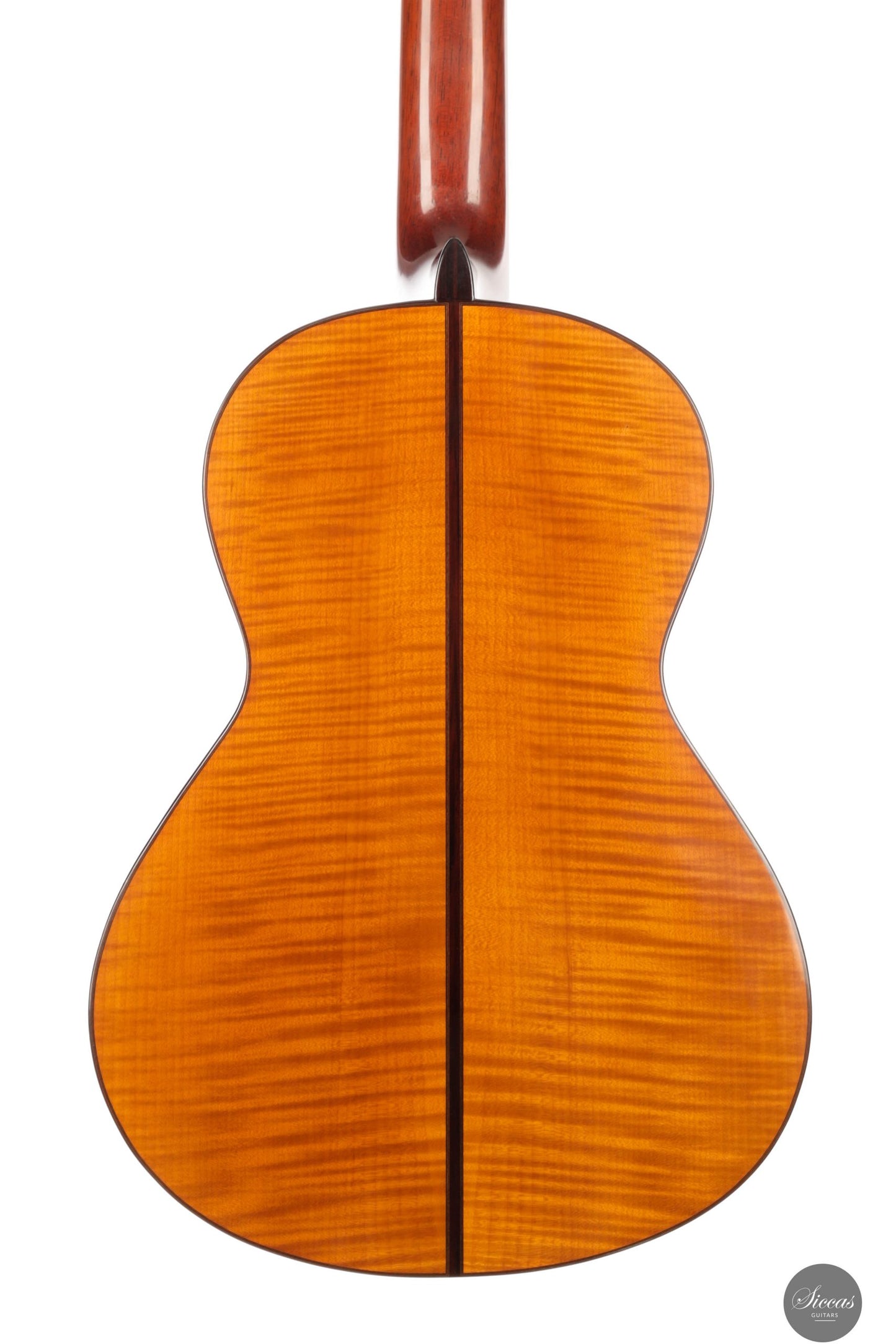 Giovanni Tacchi - 2023 Spruce / Flamed Maple
