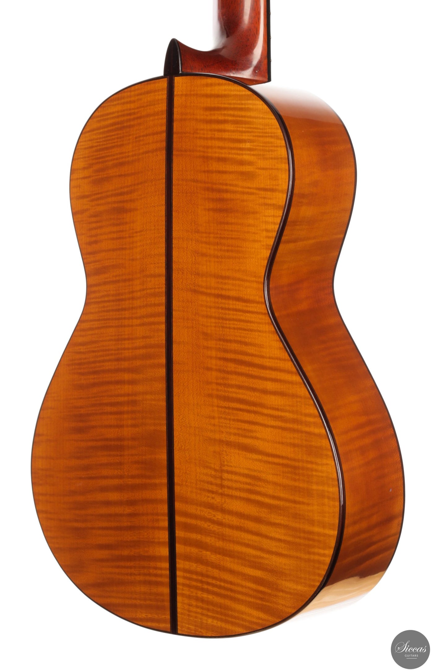 Giovanni Tacchi - 2023 Spruce / Flamed Maple