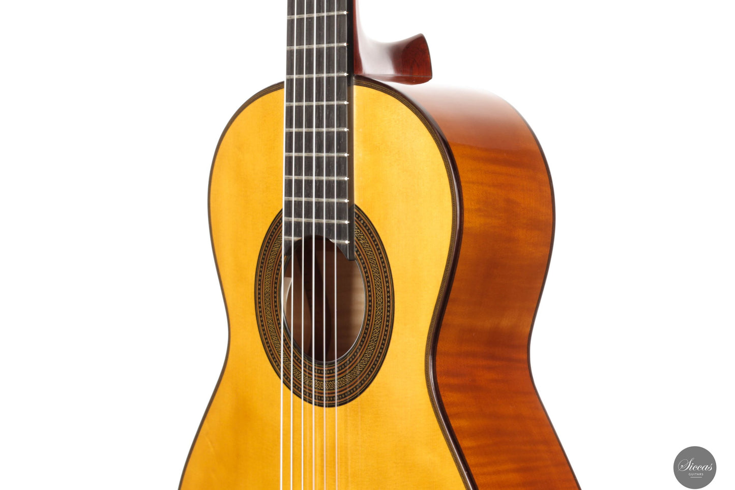 Giovanni Tacchi - 2023 Spruce / Flamed Maple