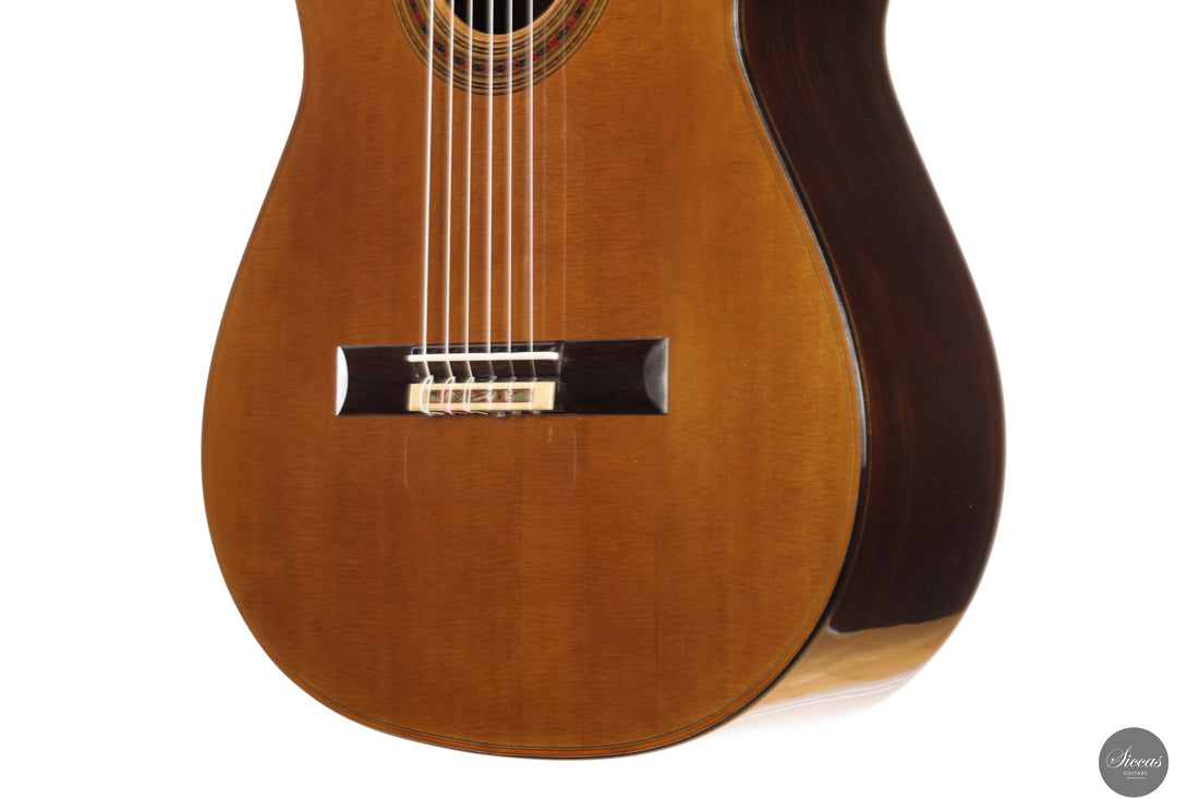 Giovanni Tacchi - 2024 "Daniel Friederich" No. 36