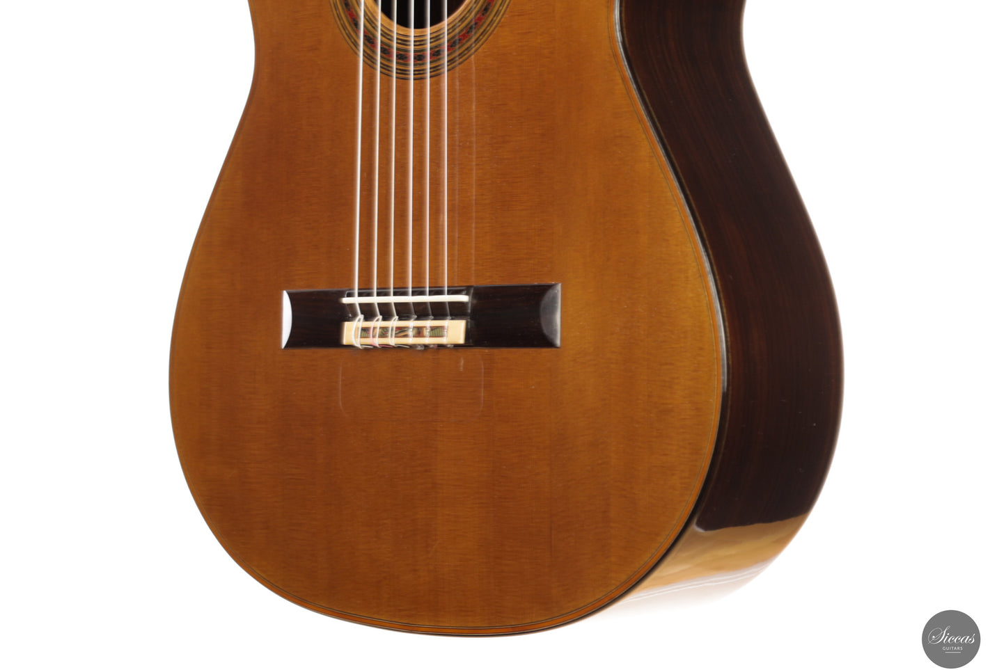 Giovanni Tacchi - 2024 "Daniel Friederich" No. 36