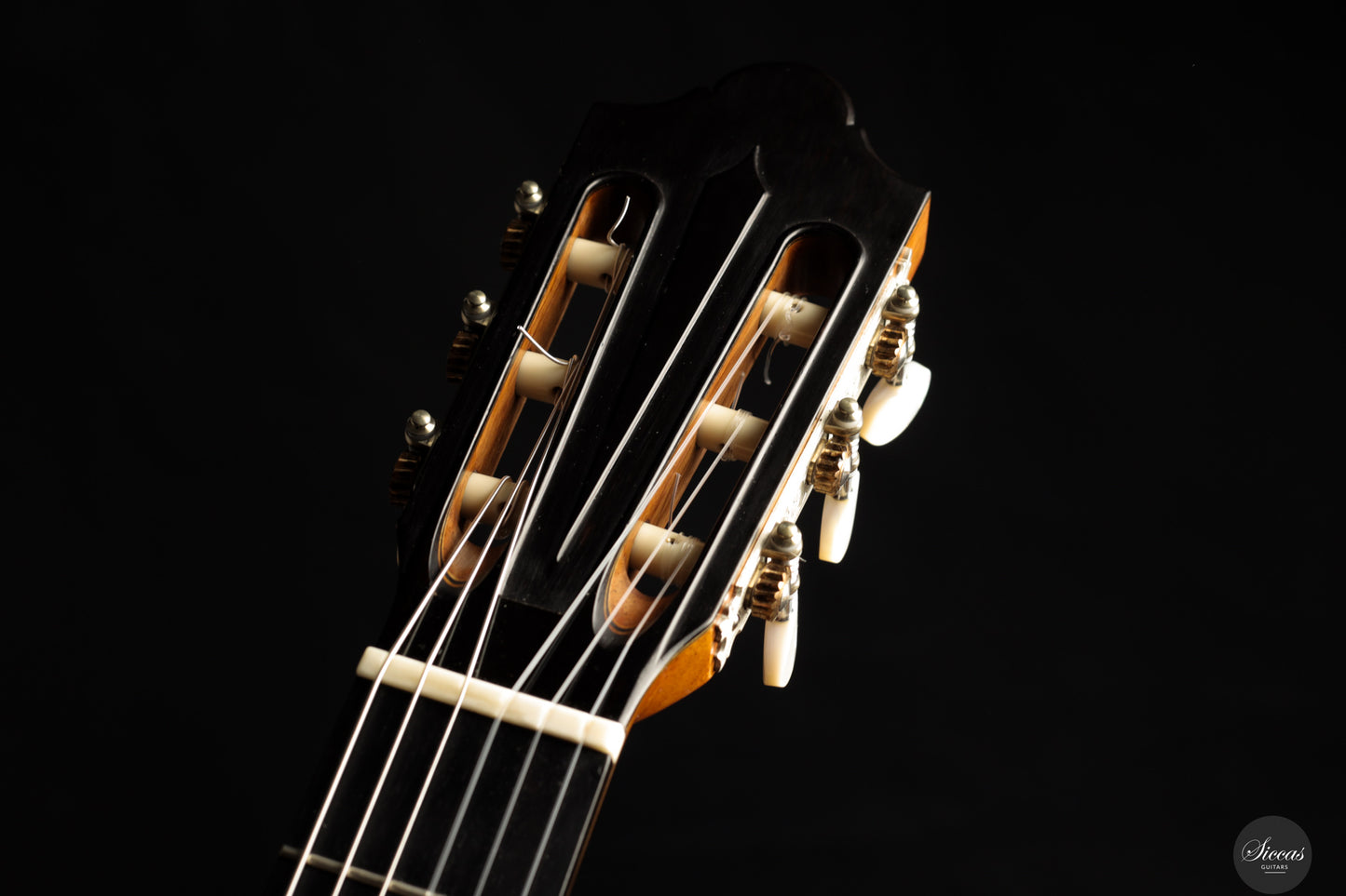 Giovanni Tacchi - 2024 "Daniel Friederich" No. 36