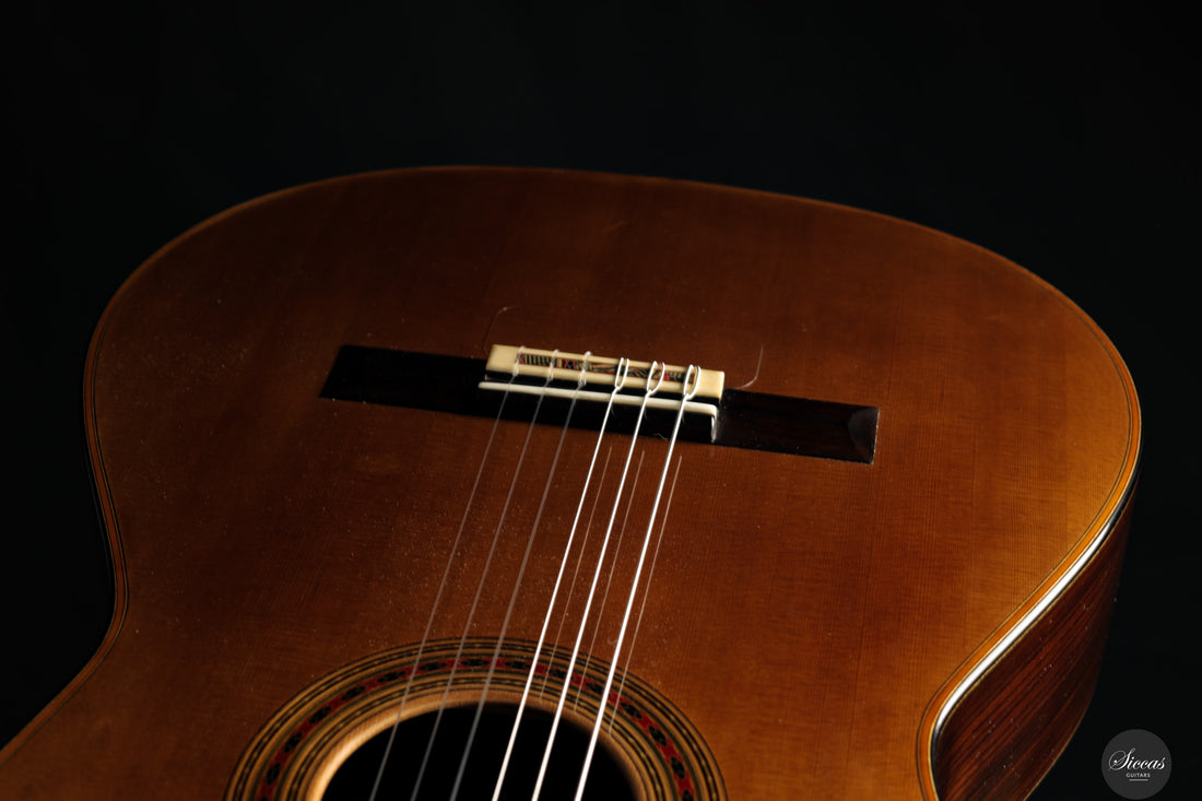 Giovanni Tacchi - 2024 "Daniel Friederich" No. 36