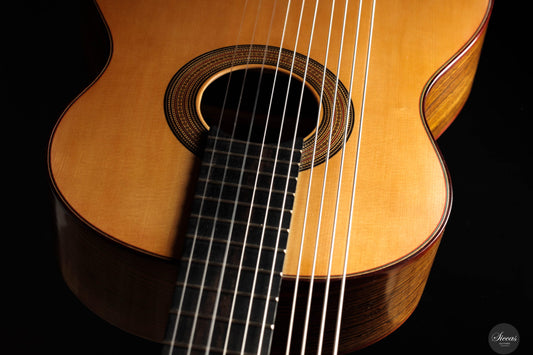 Heikki Rousu - 2025 10-string No. 477 img-2