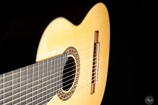 Heikki Rousu - 2025 No. 487 11-string img-2