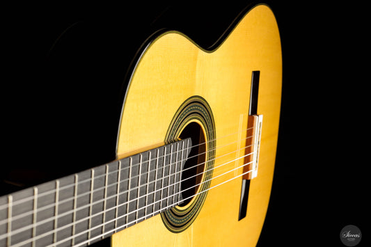 Jialan Chen - 2025 Impressionism img-2