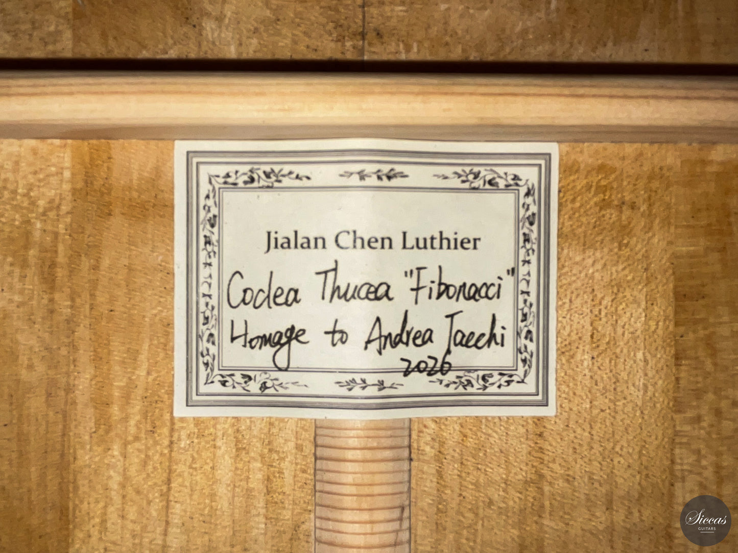Jialan Chen - 2026 Coclea Thucea "Fibonacci"