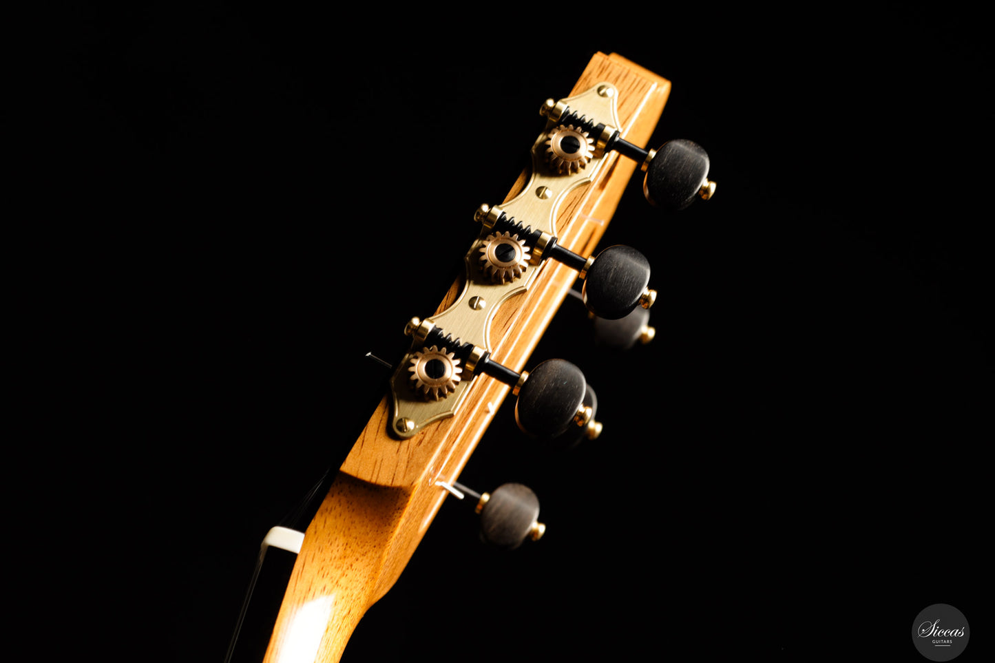 Jochen Röthel - 2025 - Cedar/Madagascar