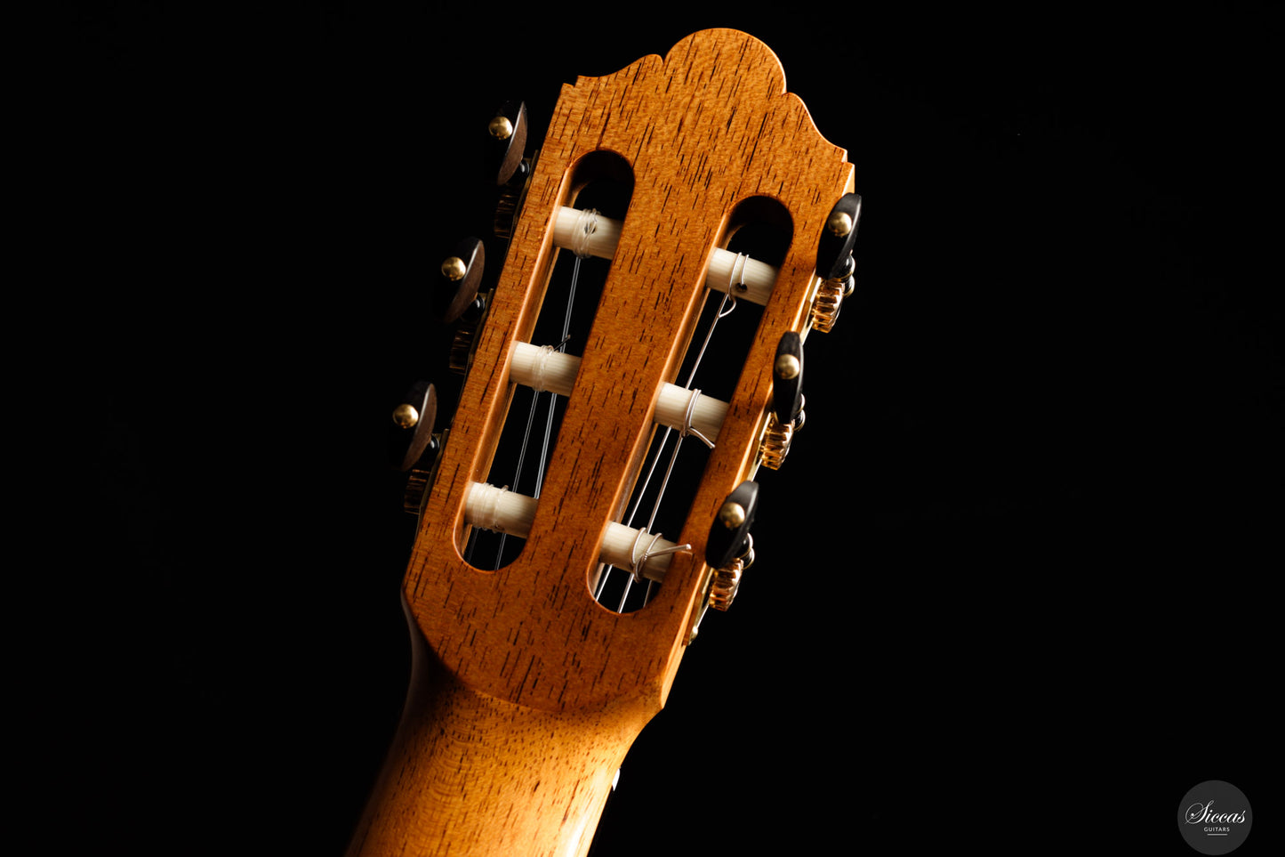 Jochen Röthel - 2025 - Cedar/Madagascar