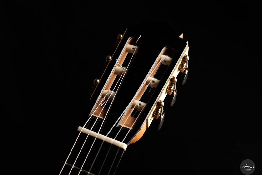 Johanna Vogl - 2024 Spruce