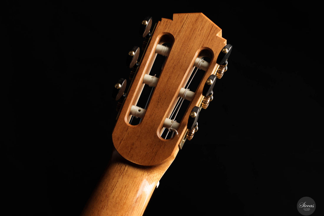 Johanna Vogl - 2024 Spruce