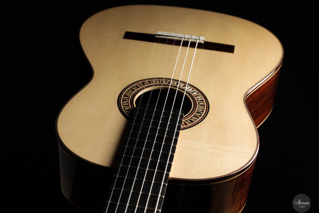 Johanna Vogl - 2024 Spruce