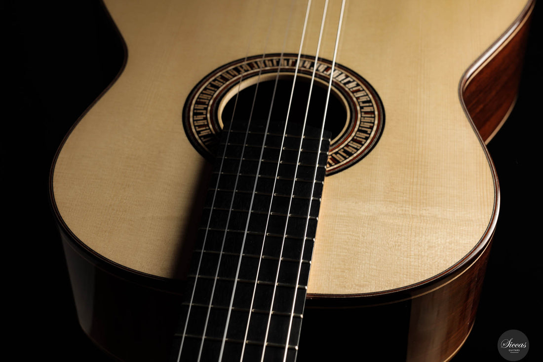 Johanna Vogl - 2024 Spruce