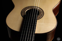 Johanna Vogl - 2024 Spruce