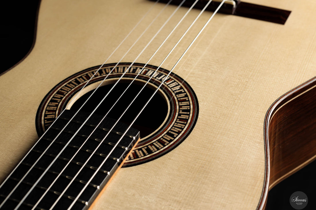 Johanna Vogl - 2024 Spruce