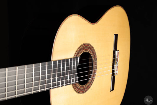 John Ray - 2024 No. 287 Simplicio img-2