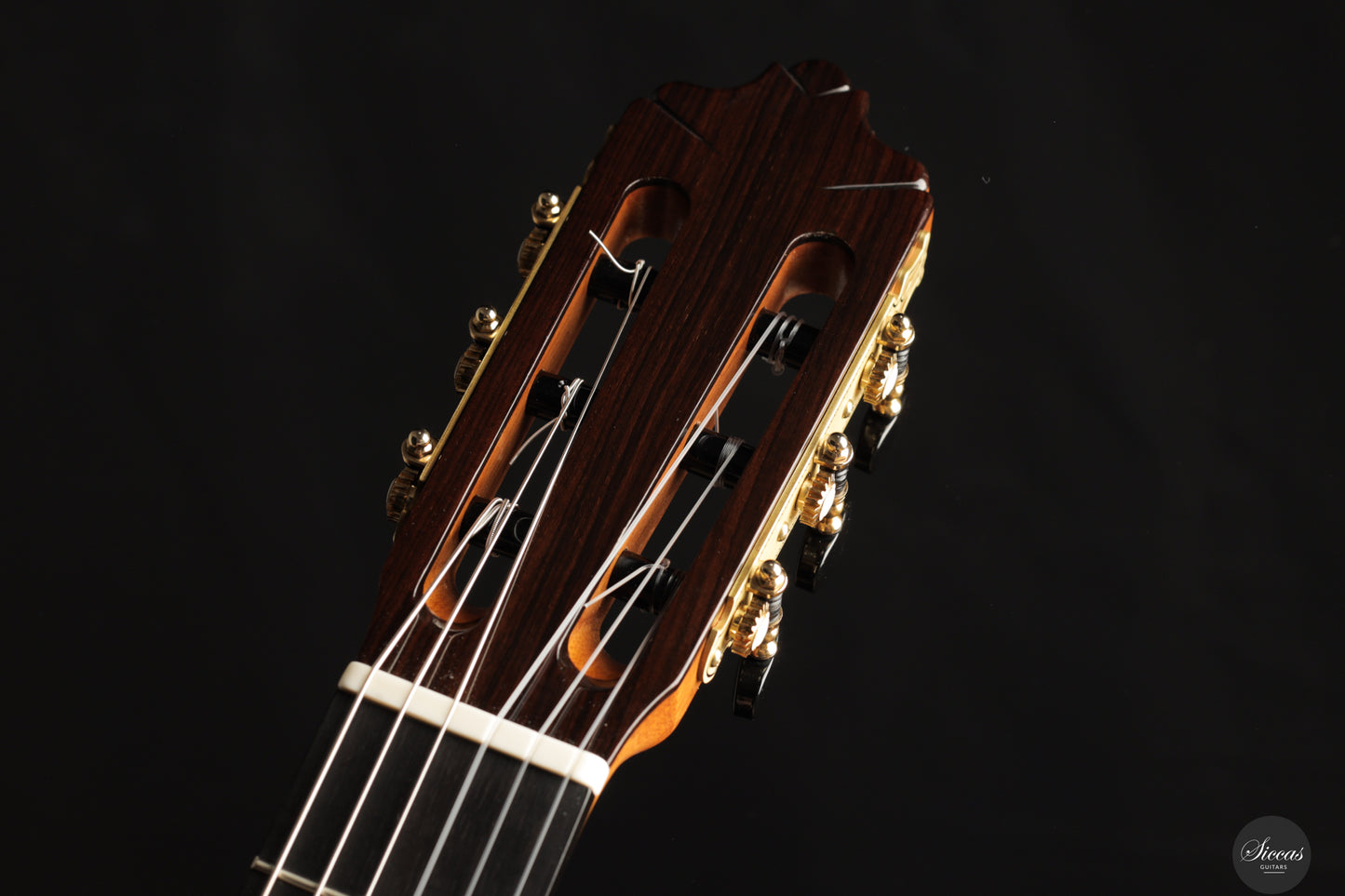 José Salinas - 2024 Spruce
