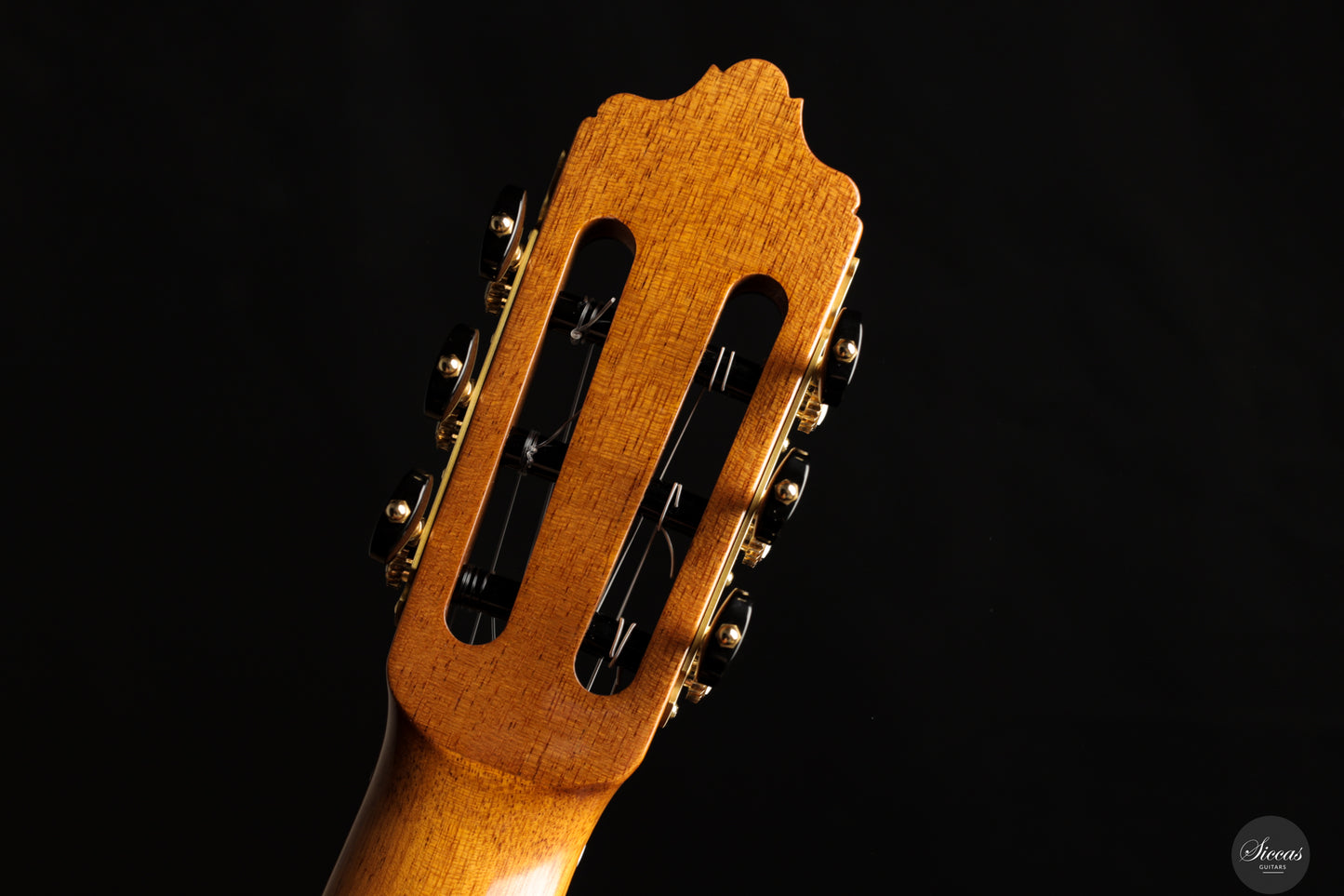 José Salinas - 2024 Spruce