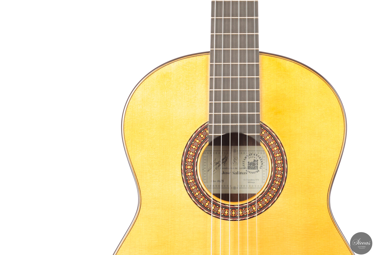 José Salinas - 2024 Spruce