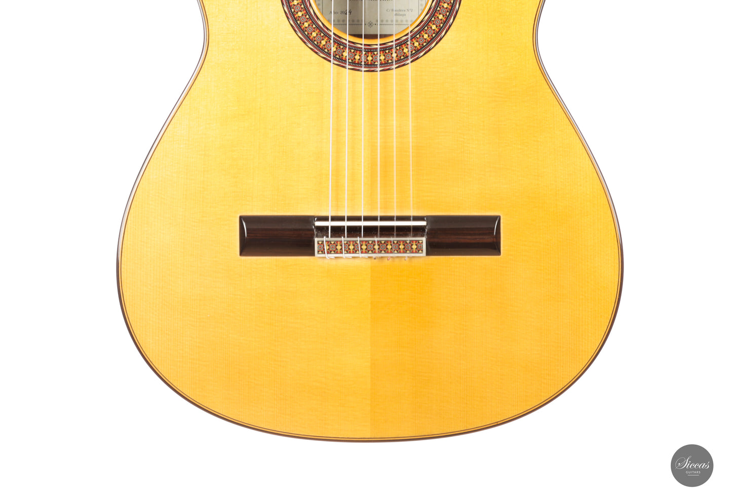 José Salinas - 2024 Spruce