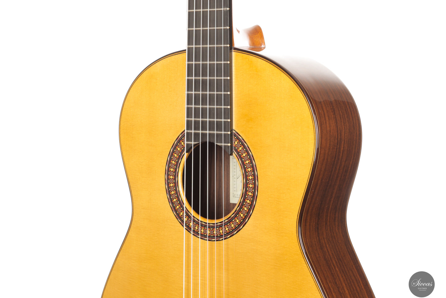 José Salinas - 2024 Spruce