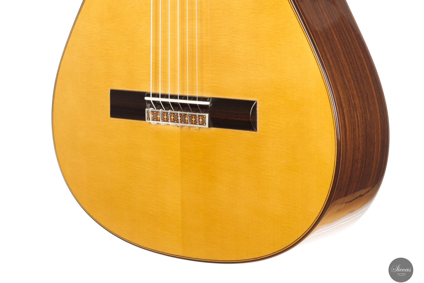 José Salinas - 2024 Spruce