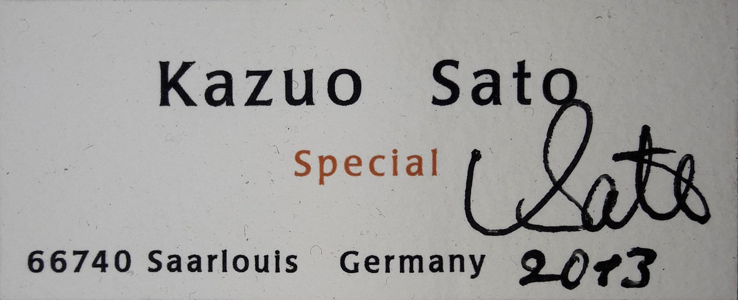 Kazuo Sato - Special 2013