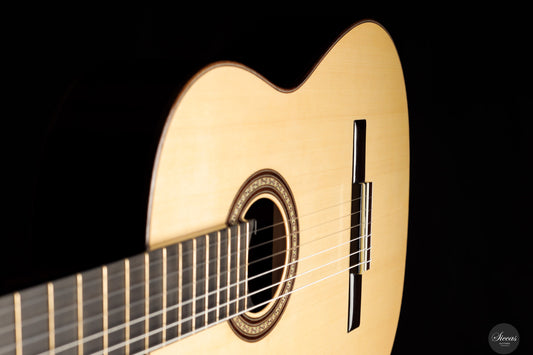 Kolya Panhuyzen - 2025 img-2