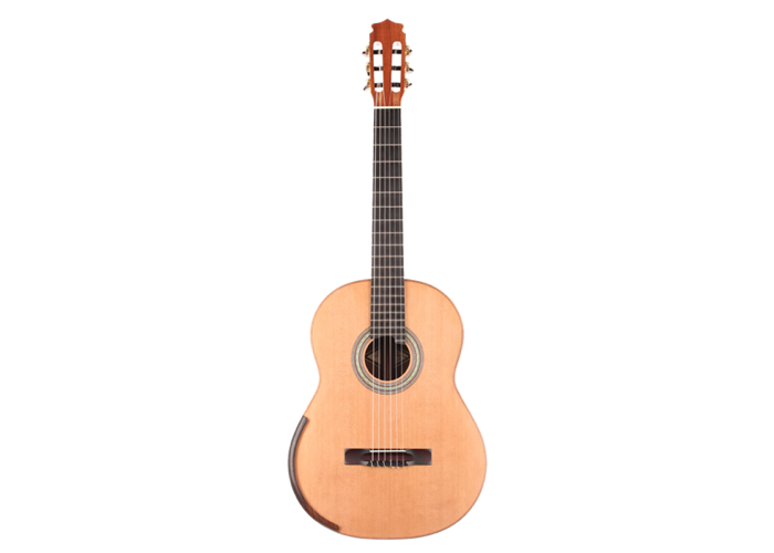 Lance Litchfield - C900 2015 – Siccas Guitars