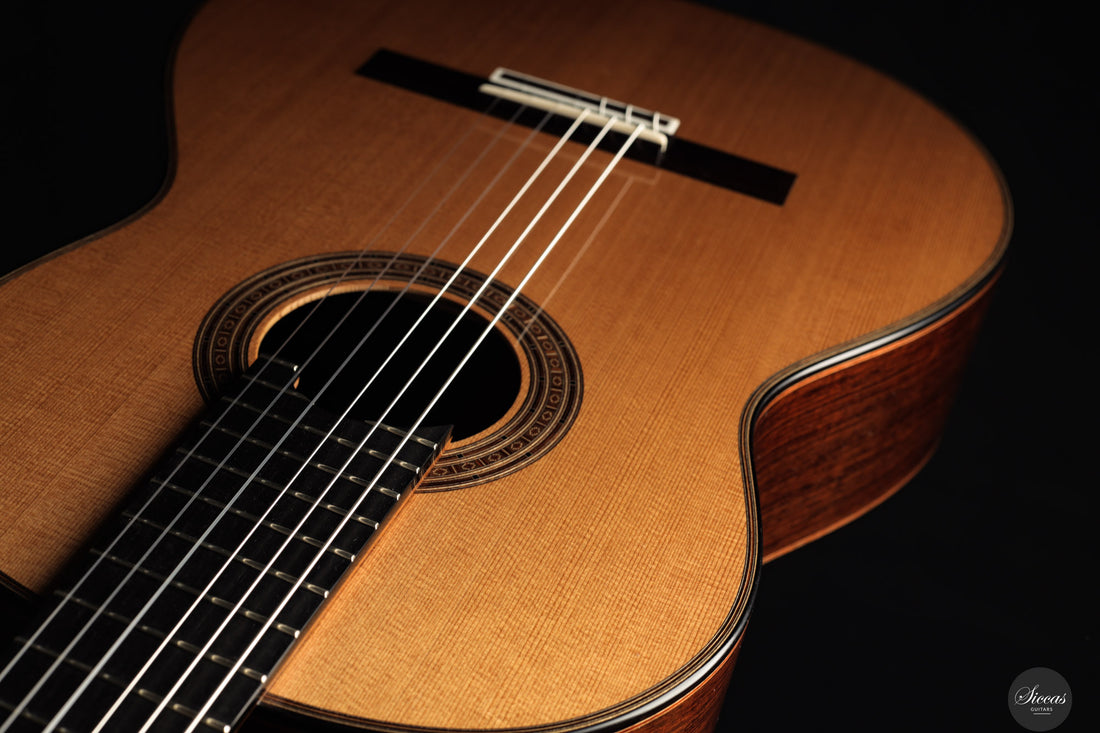 Lisa Weinzierl - 2025