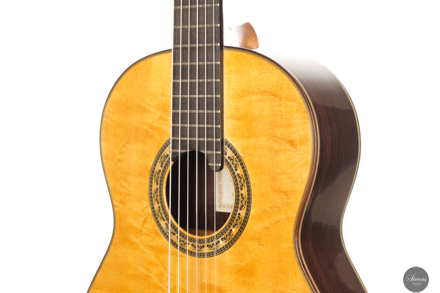 Lorenzo Frignani - 2024 No. 266 Spruce