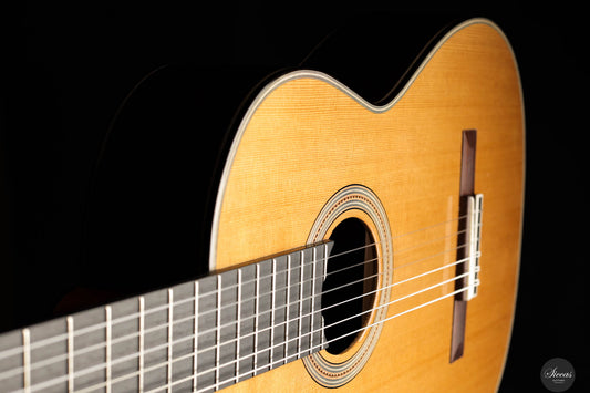 Luca Pollastro - 2024 No. 12 REG 2024 Limited Edition img-2