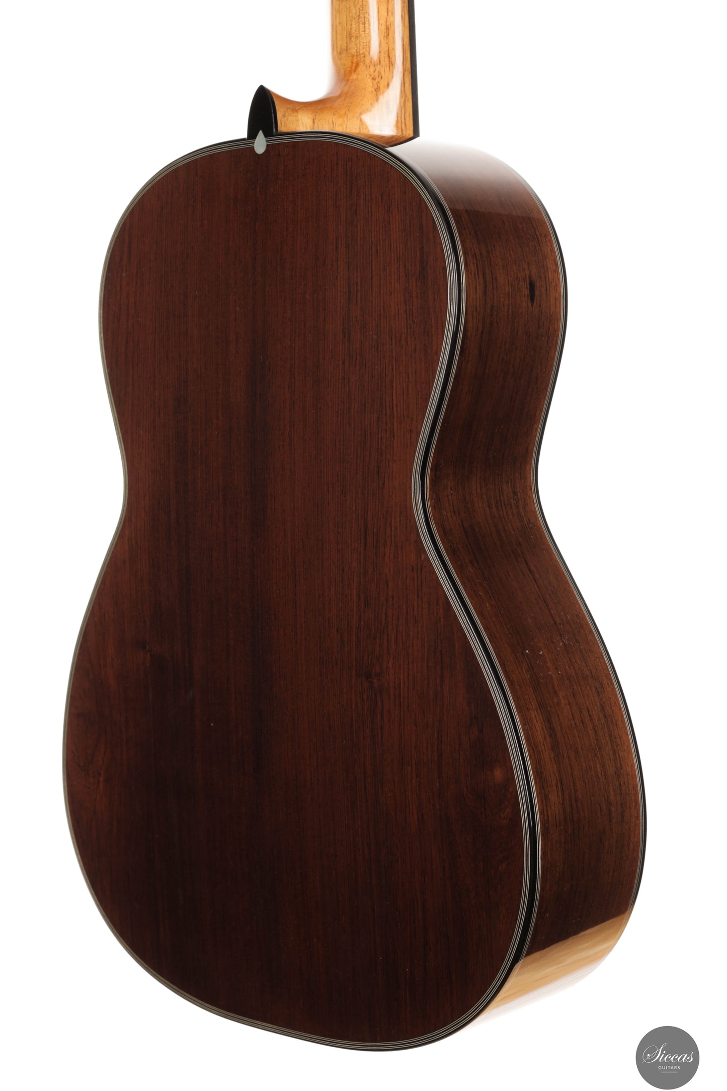 Luca Pollastro - 2025 - REG Limited Edition