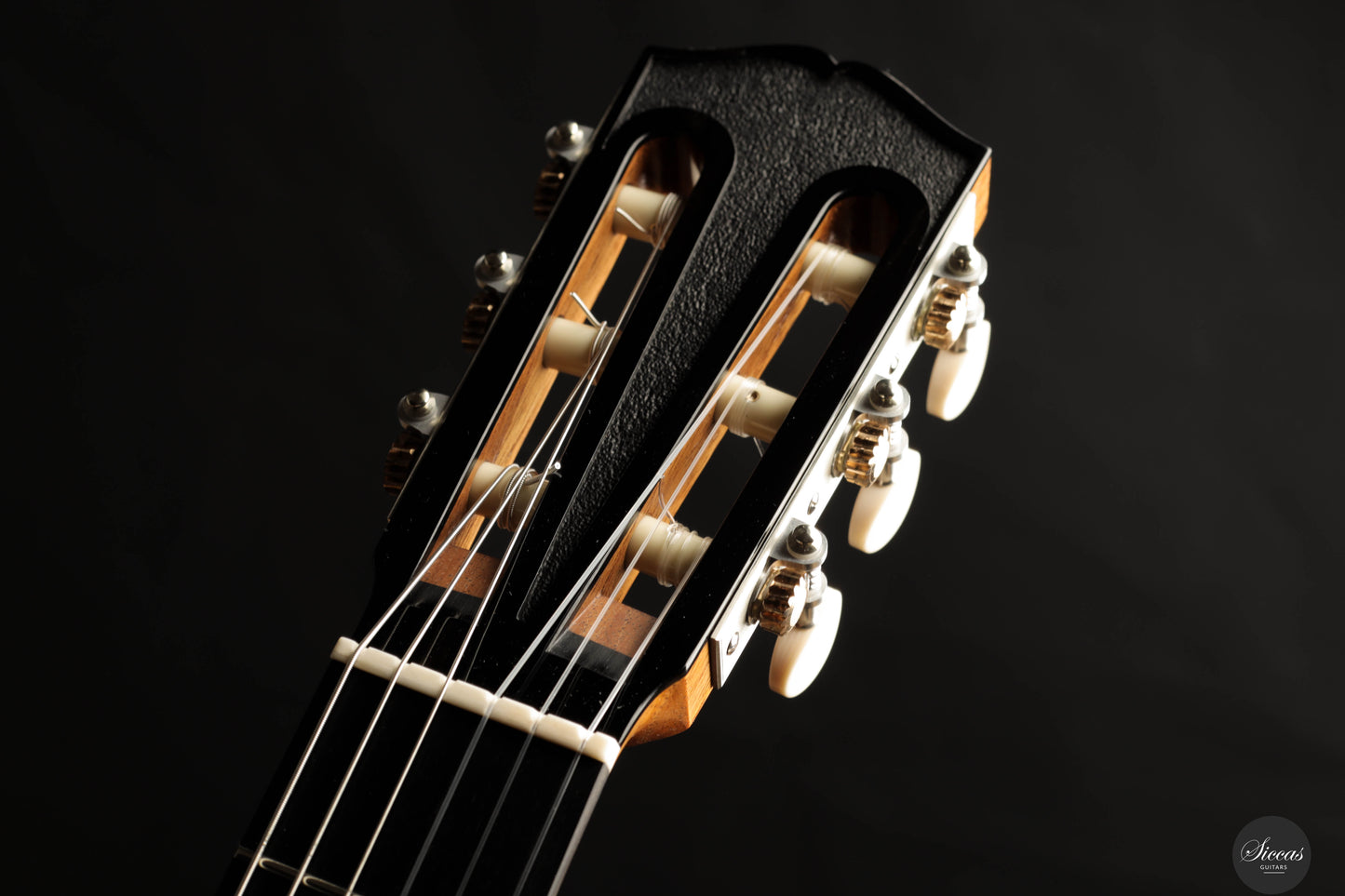 Luca Pollastro - 2025 - REG Limited Edition