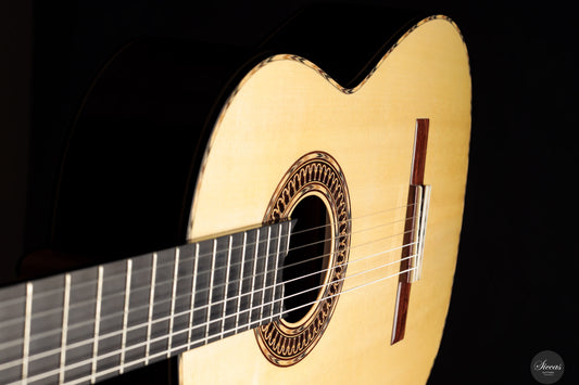 Luca Santambrogio - 2025 img-2