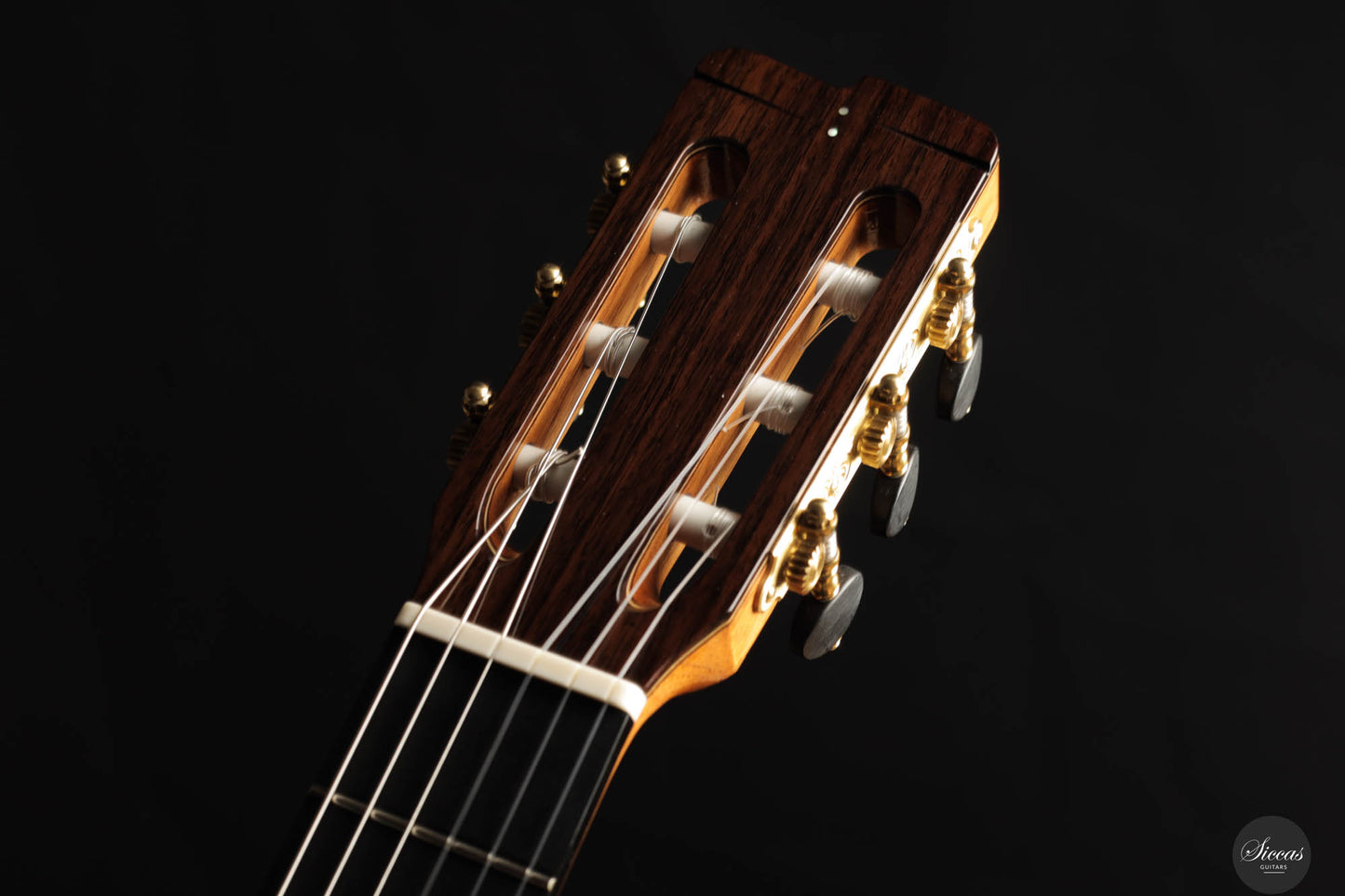 Luigi Sabbatini - 2025 Spruce