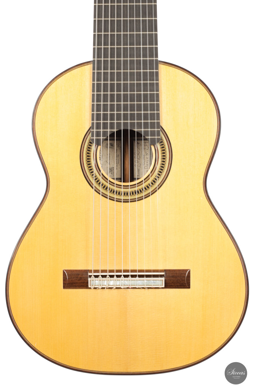 Marco Maguolo - 2022 - Ducale 10 strings Nr.279