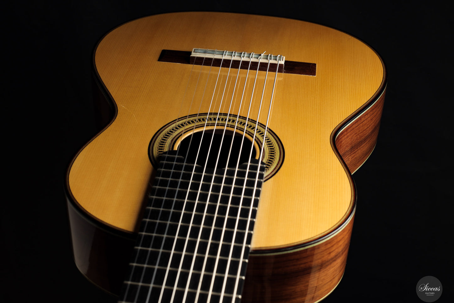 Marco Maguolo - 2022 - Ducale 10 strings Nr.279