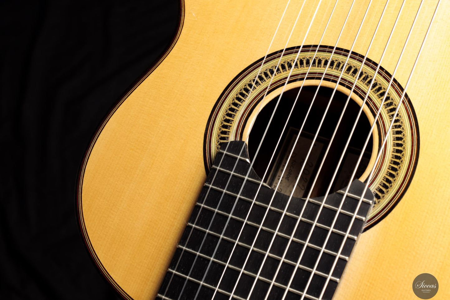 Marco Maguolo - 2022 - Ducale 10 strings Nr.279