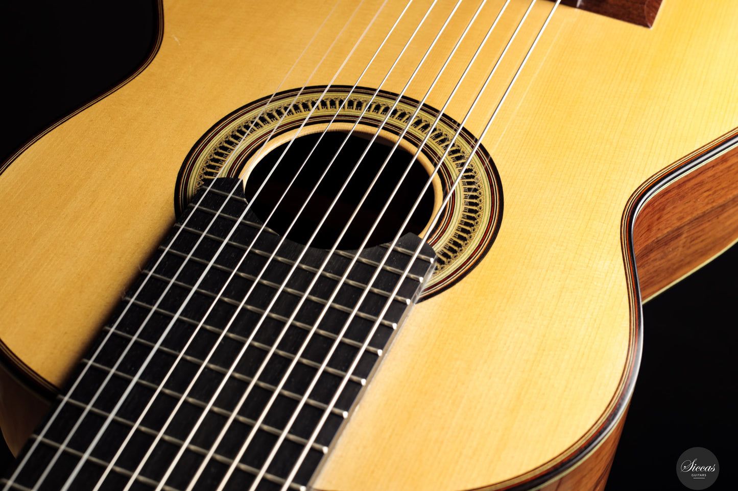 Marco Maguolo - 2022 - Ducale 10 strings Nr.279