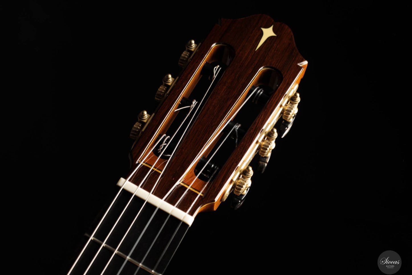 Masaki Sakurai - 2025 Maestro-RF Cedar 64 cm