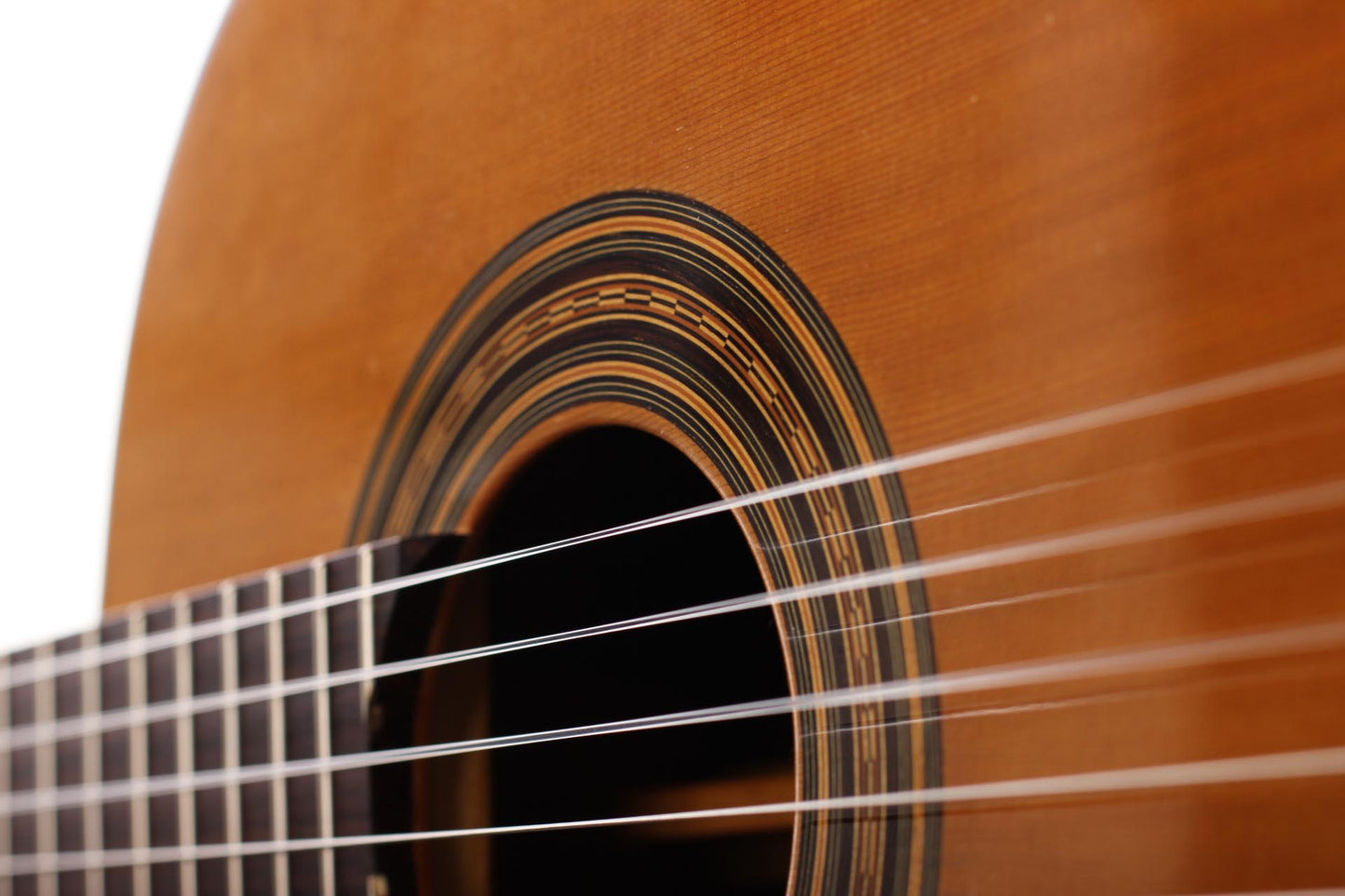 Michael Brey - 2016 64,5cm