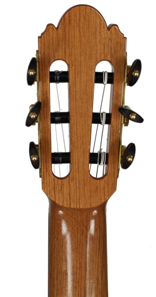 Milestones - Torres Model img-2