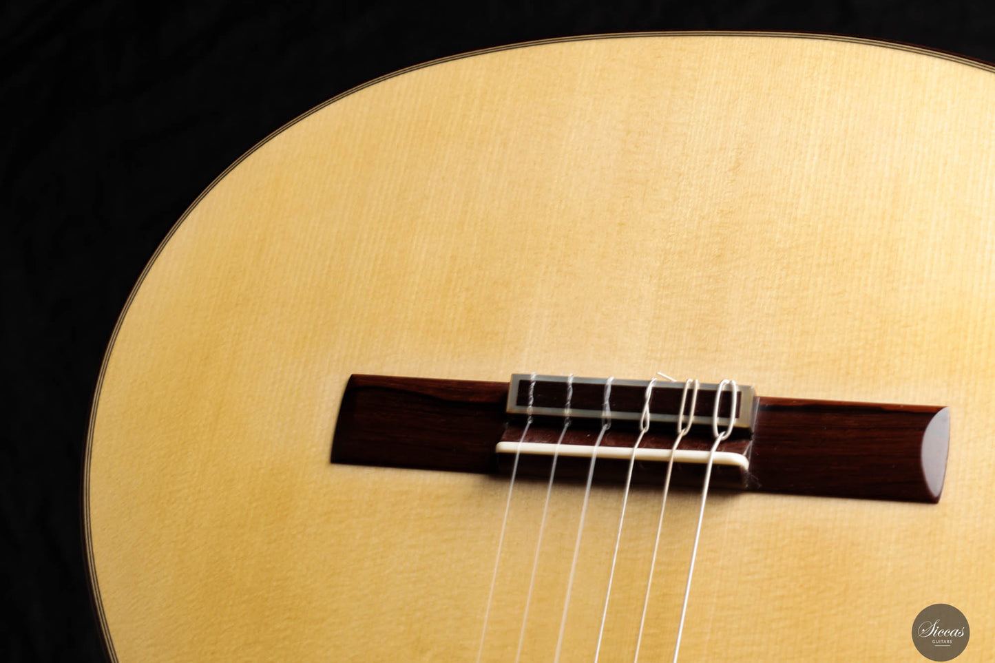 Paco Santiago Marin - 2023 XXX Aniversario Indian Rosewood