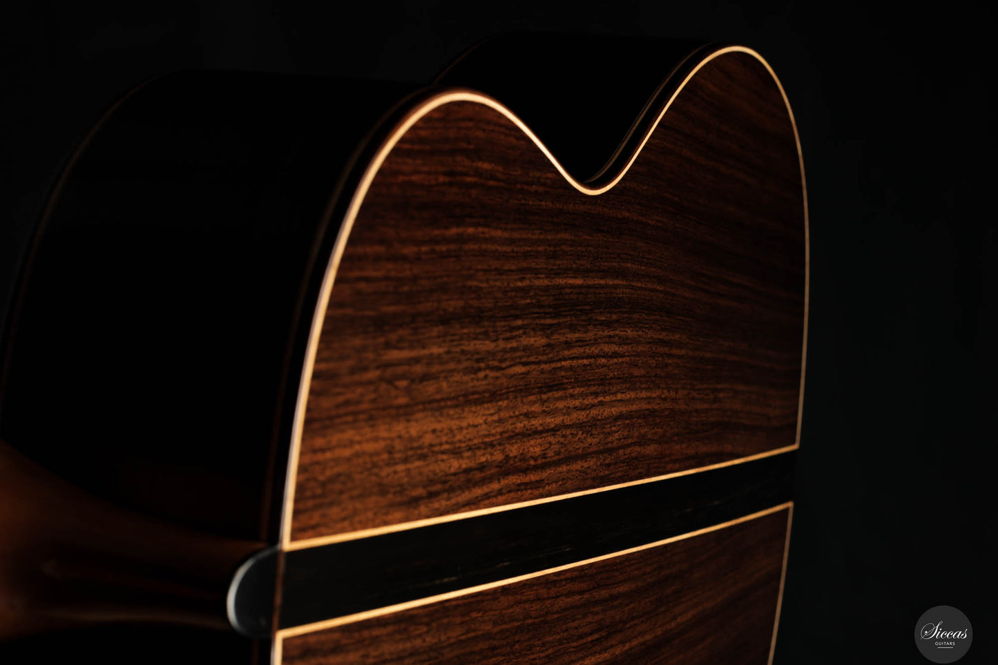 Paco Santiago Marin - 2023 XXX Aniversario Indian Rosewood
